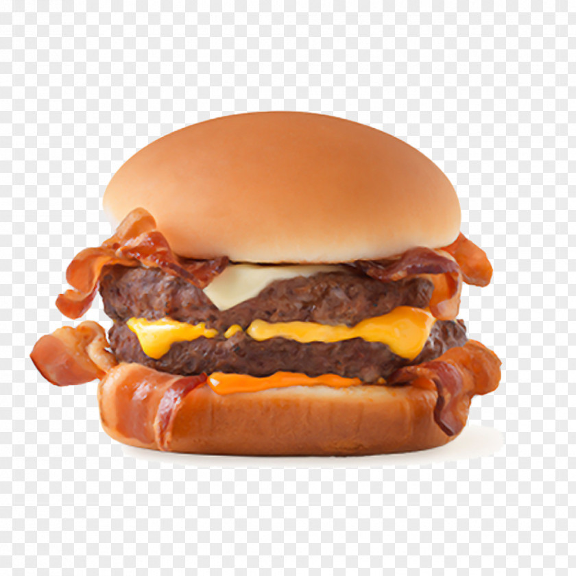 Bacon Hamburger Cheeseburger Chicken Sandwich Pizza PNG