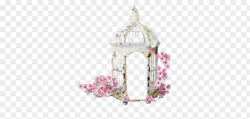 Bird Cage Cell Clip Art PNG