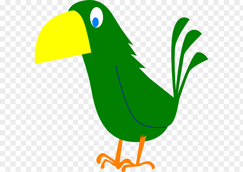 Pirate Parrot Crows Cartoon Clip Art PNG