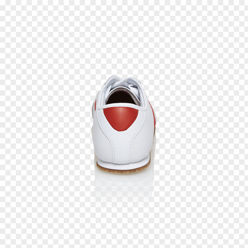 Design Sneakers Shoe PNG