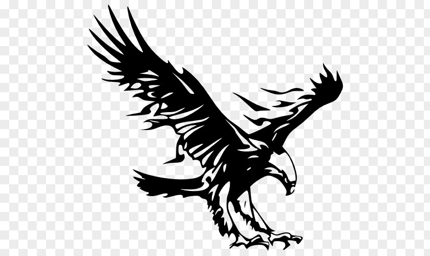 Eagle Logo Bald Golden PNG