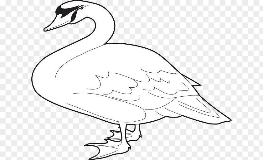 Goose Domestic Magpie Clip Art PNG