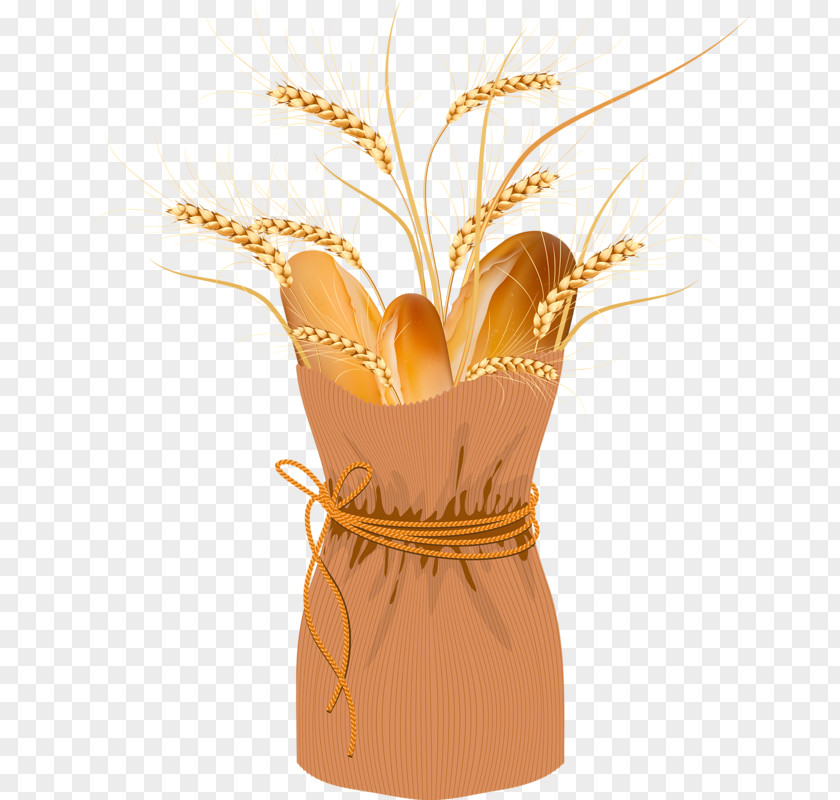 Hand Drawn Cartoon Food Wheat Bread Baking PNG