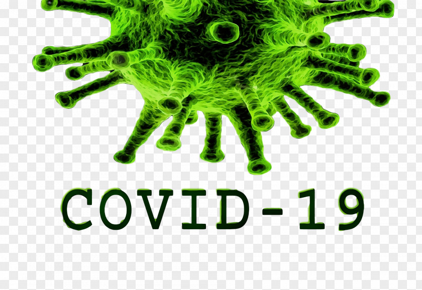 Piotrków Trybunalski County Severe Acute Respiratory Syndrome Coronavirus 2 Logo PNG