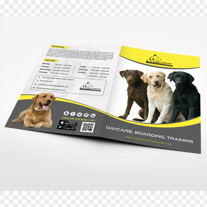 Puppy Advertising Brand Snout PNG