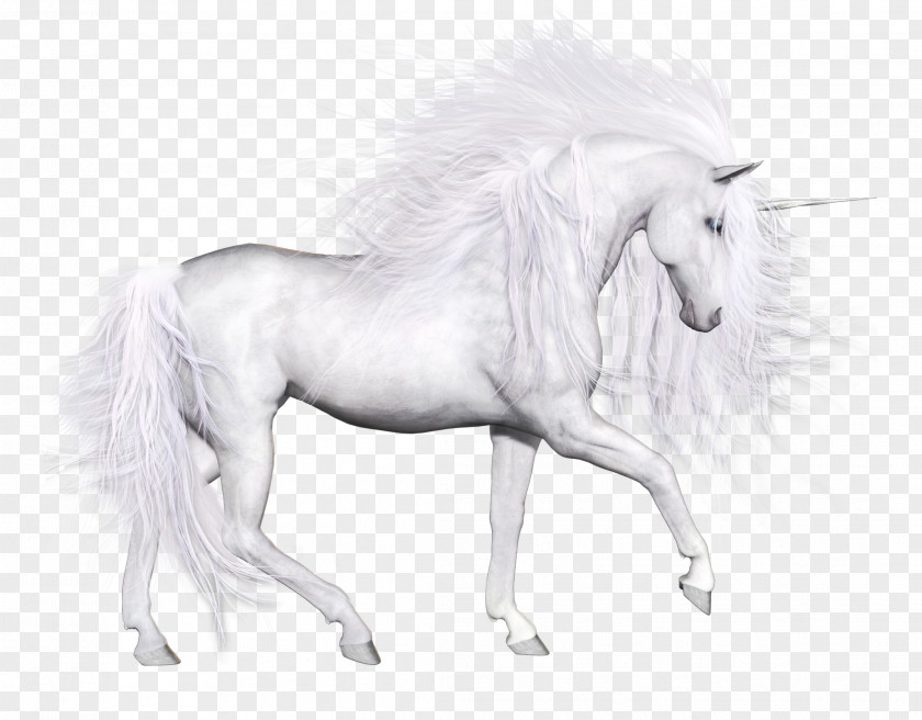 Pure White Unicorn Horse PNG