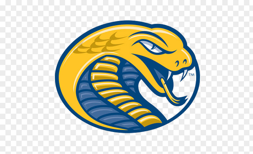 School Coker College Cobras Women's Basketball Men's Shepherd University PNG