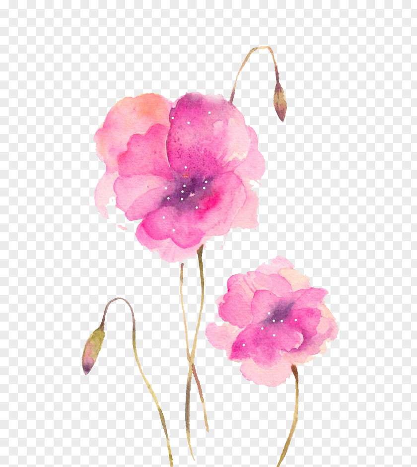 Watercolor Flowers Watercolour Painting Samsung Galaxy S6 PNG