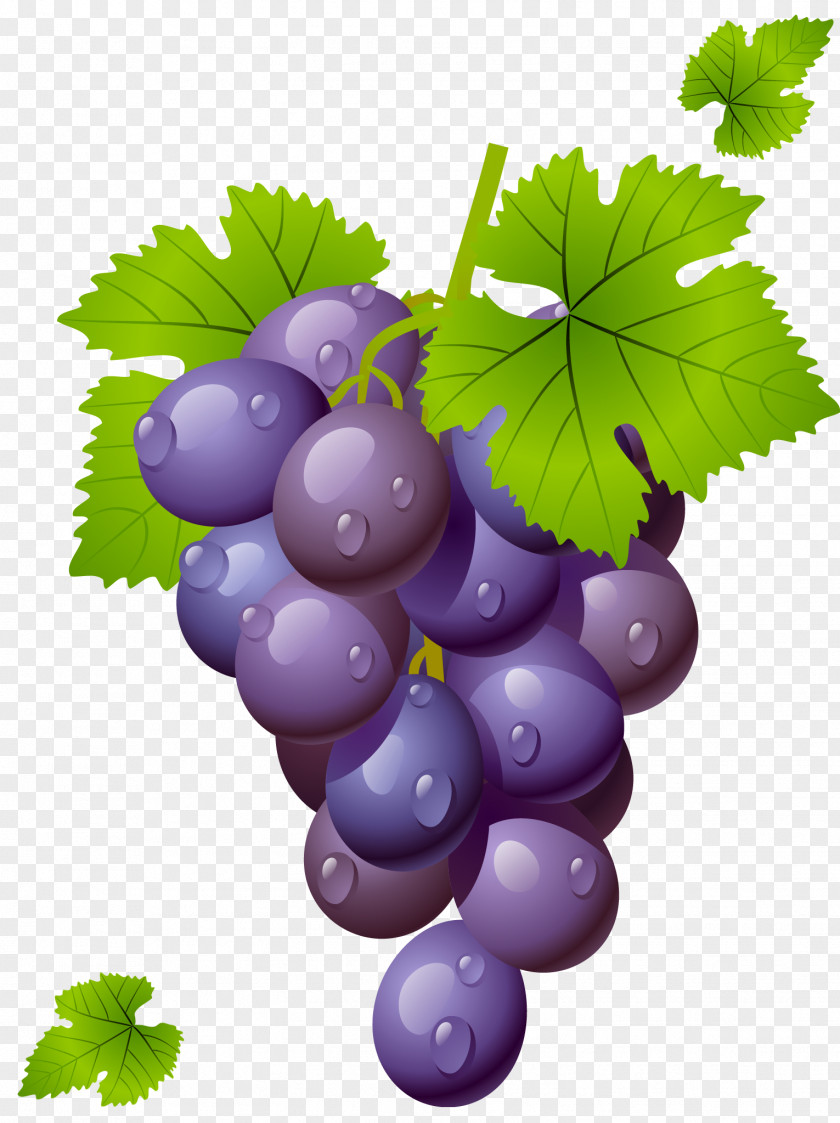 Grape With Leaves Clipart Picture Wine Common Vine Clip Art PNG