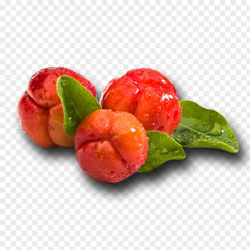 Juice Barbados Cherry Wild Crapemyrtle Nanche Fruit PNG