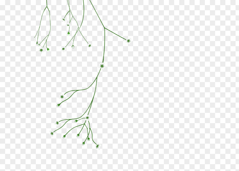 Line Twig Plant Stem PNG