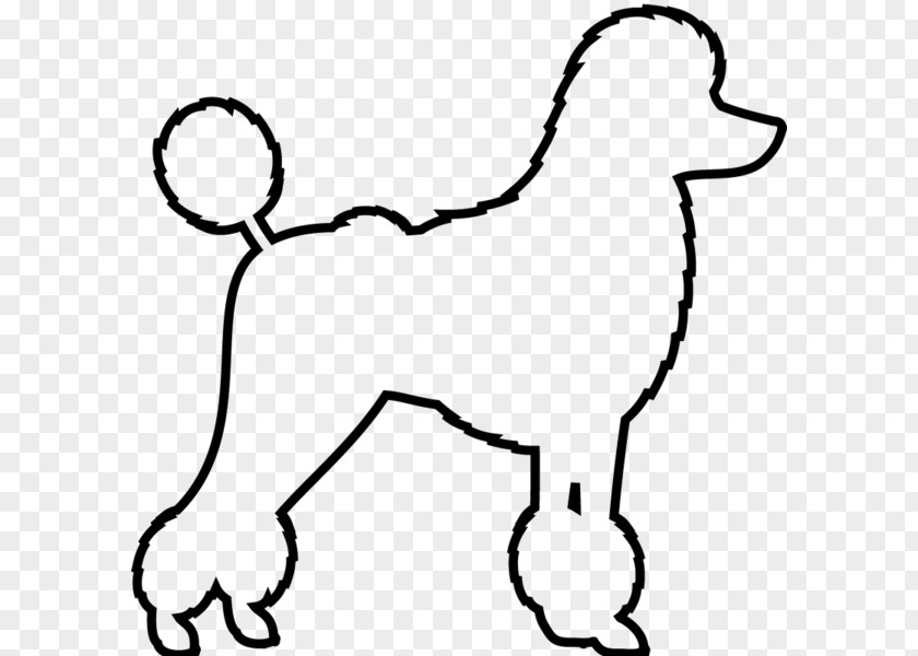 Poodle Download Clip Art Drawing Line Image PNG