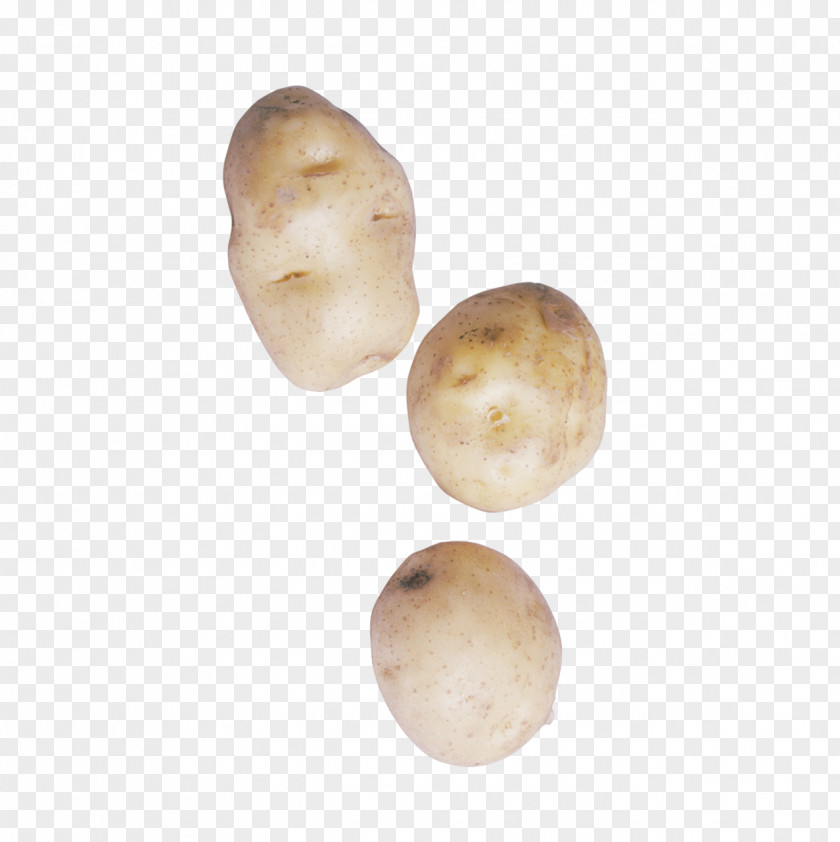 Potato Vegetable Food PNG