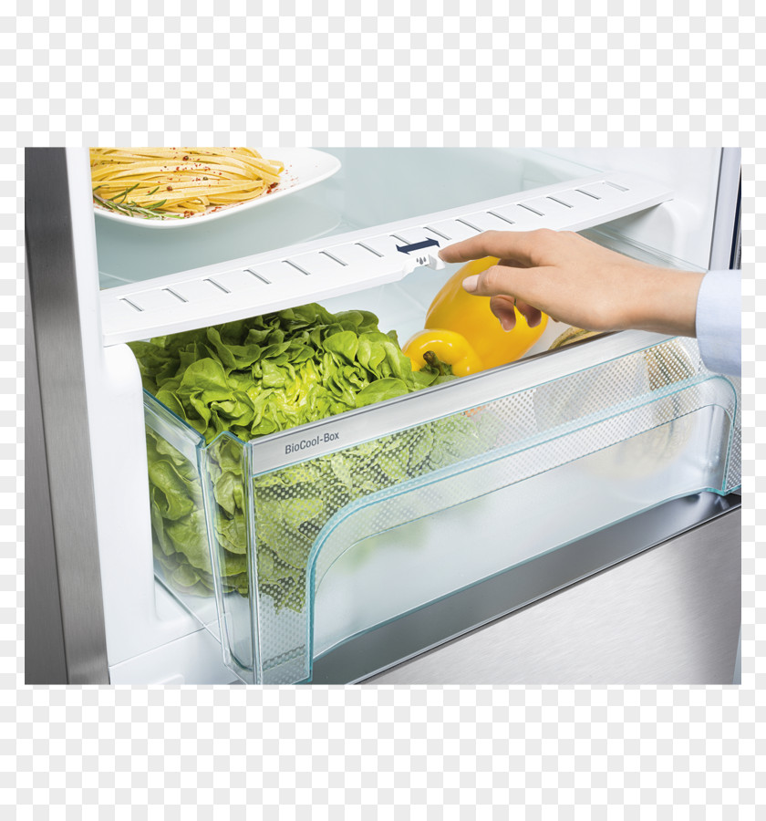 Refrigerator Liebherr Comfort K 3710 Group Kef 4310 PNG