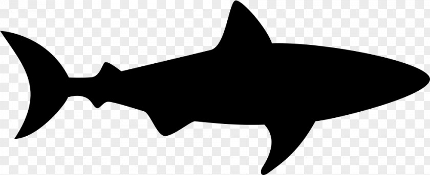 Shark Head Great White Silhouette Clip Art PNG
