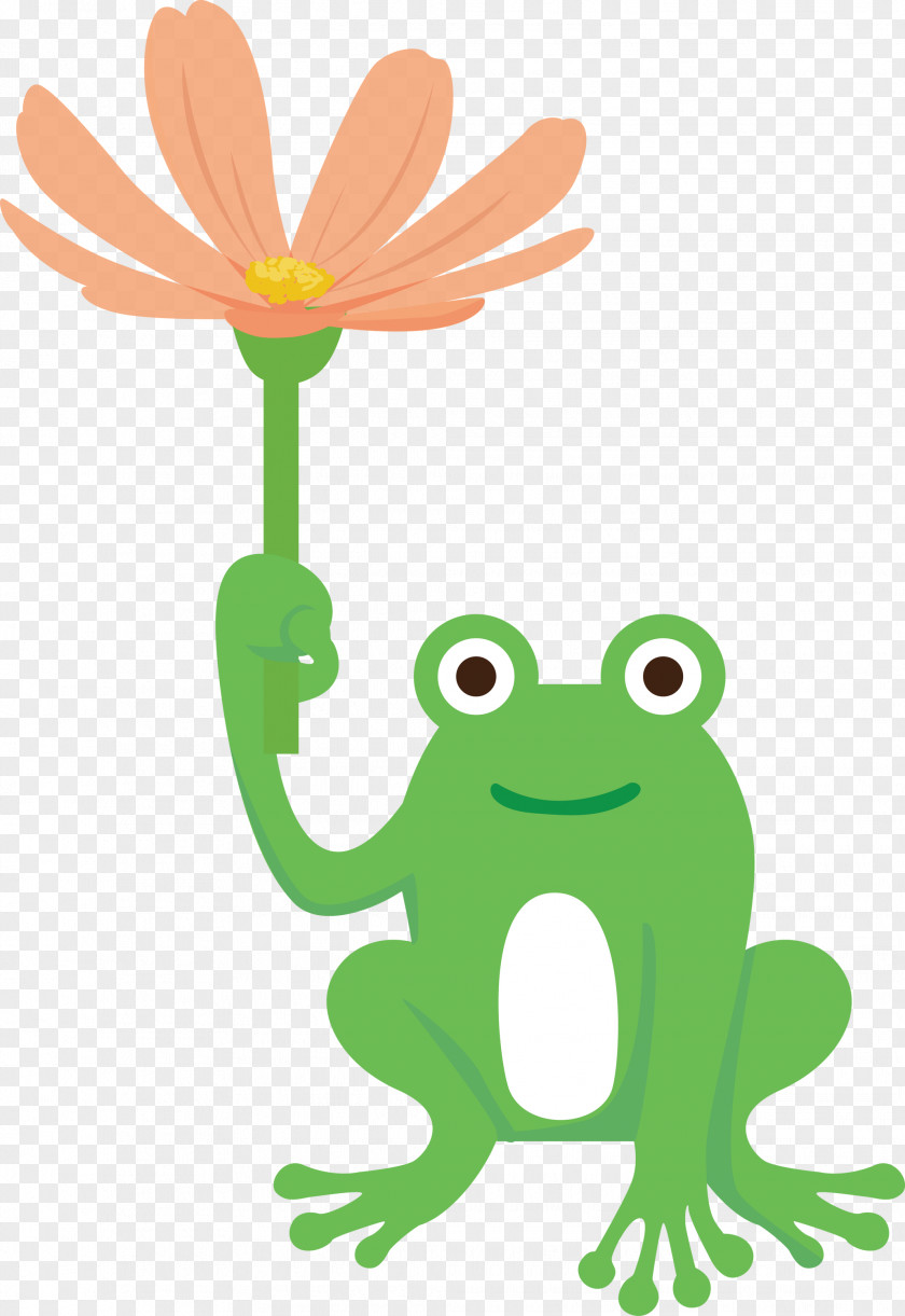 Tree Frog Frogs Leaf Plant Stem Cartoon PNG
