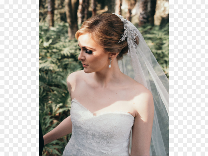 Wedding Dress Chignon Veil Headpiece PNG