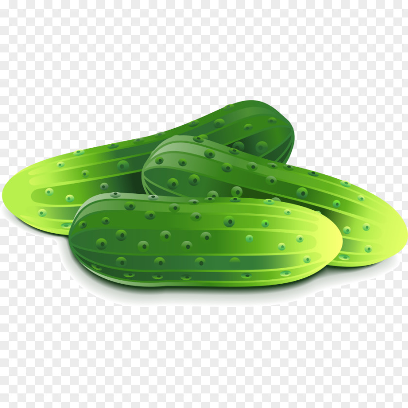 Cucumber Pickled Vegetable Fruit PNG