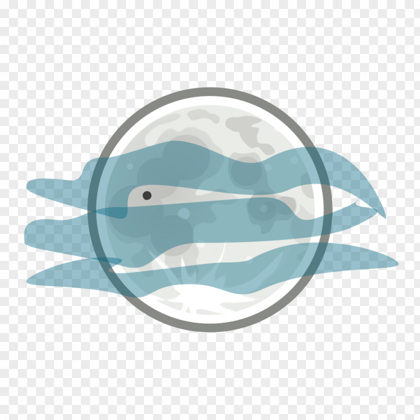 Foggy Weather Dolphin Water PNG