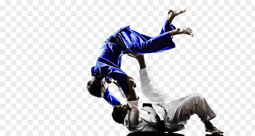 Judo Throws Jujutsu Mixed Martial Arts Brazilian Jiu-jitsu PNG