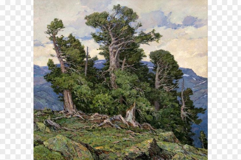 Painting Krasnoyarsk Pine Painter Landscape PNG