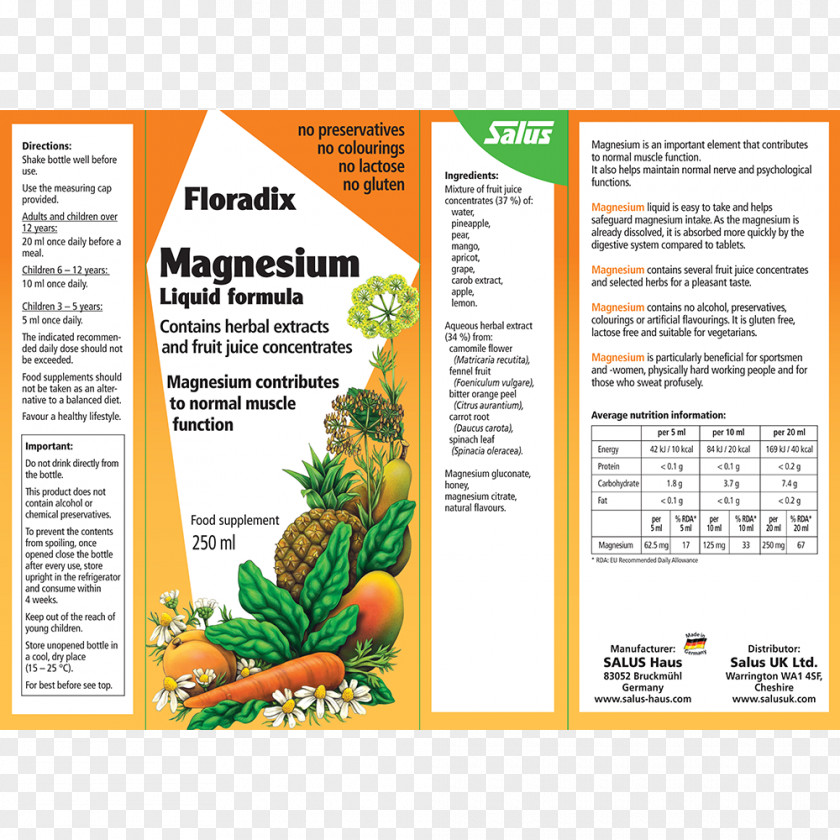 Pregnancy Dietary Supplement Magnesium Deficiency Calcium Nutrition PNG