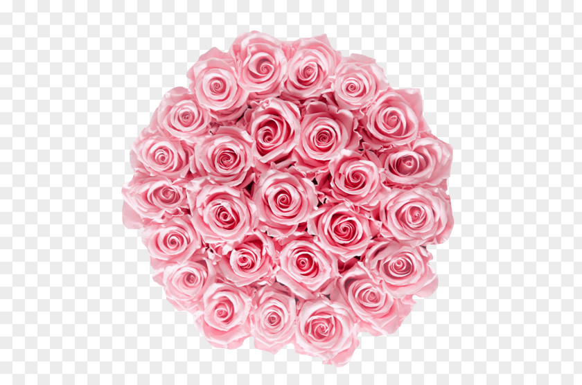 Rose Bridal Pink Grace Flowerbox Garden Roses Cabbage Cut Flowers Floral Design PNG