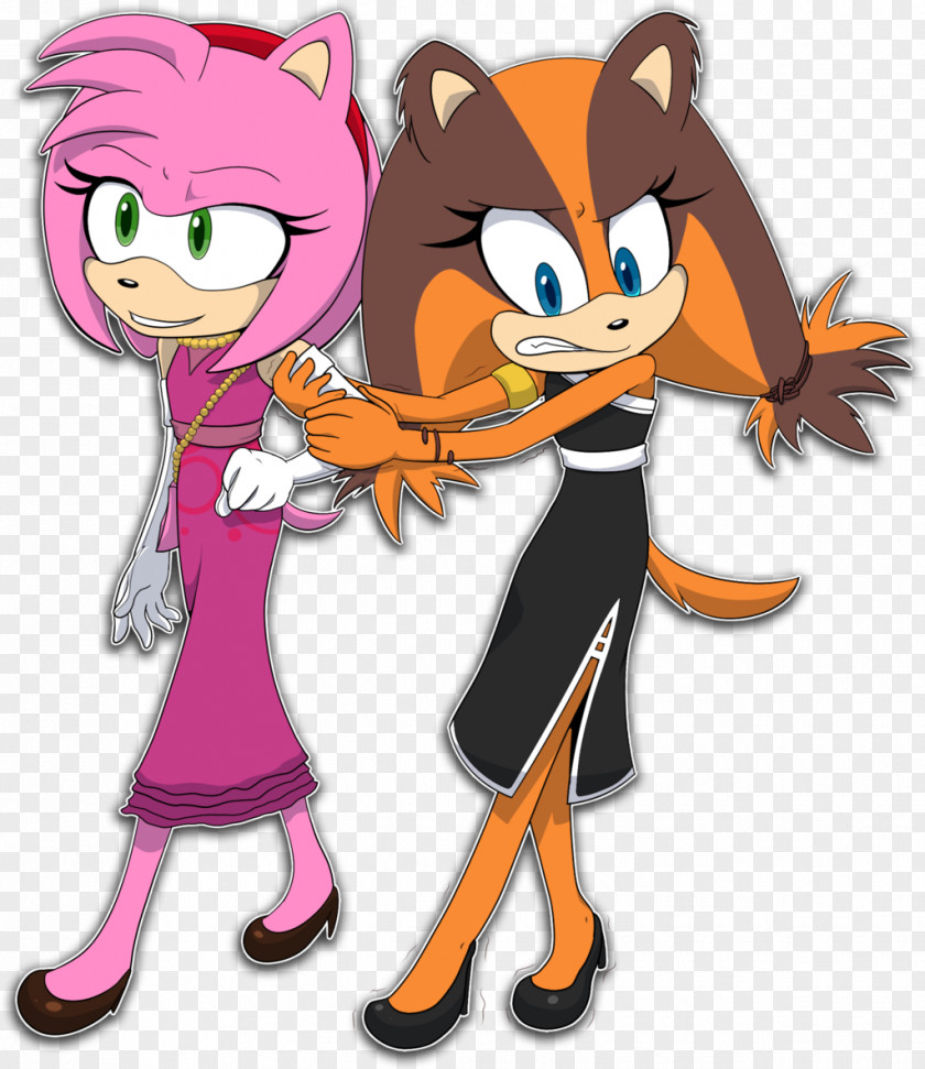 Sonic The Hedgehog Sticks Badger Tails Amy Rose Shadow PNG