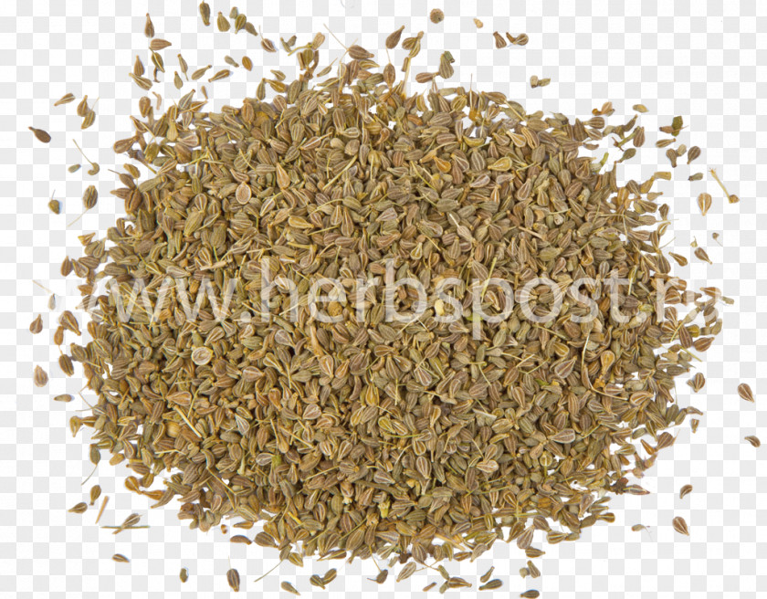 Anis Spice Herb Star Anise Seed PNG