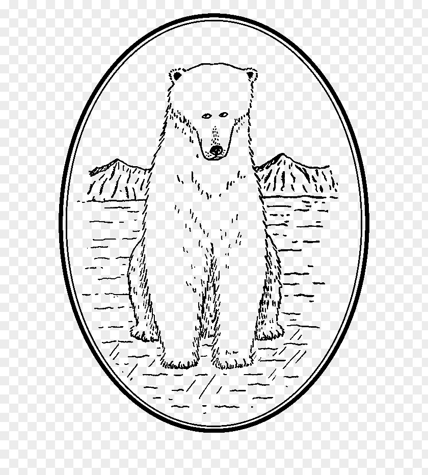 Cartoon Vector Illustration Polar Bear PNG