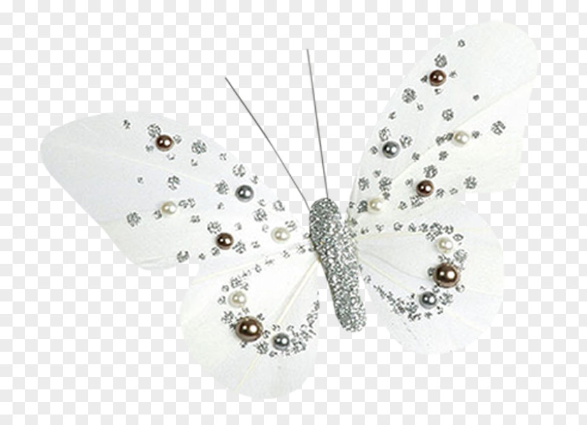 Flower Fly Butterfly Butterflies & Insects White PNG