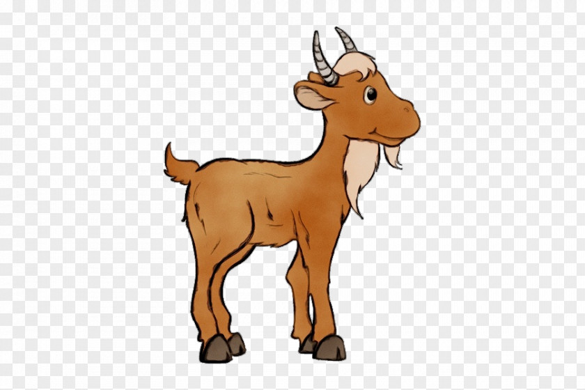 Goats Goat Cartoon Cow-goat Family Goat-antelope PNG