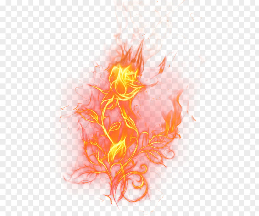 Fire Clip Art Image Vector Graphics PNG