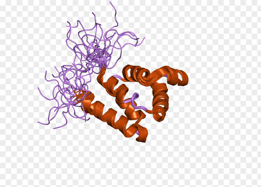 Internal Link MNDA Gene Protein PNG