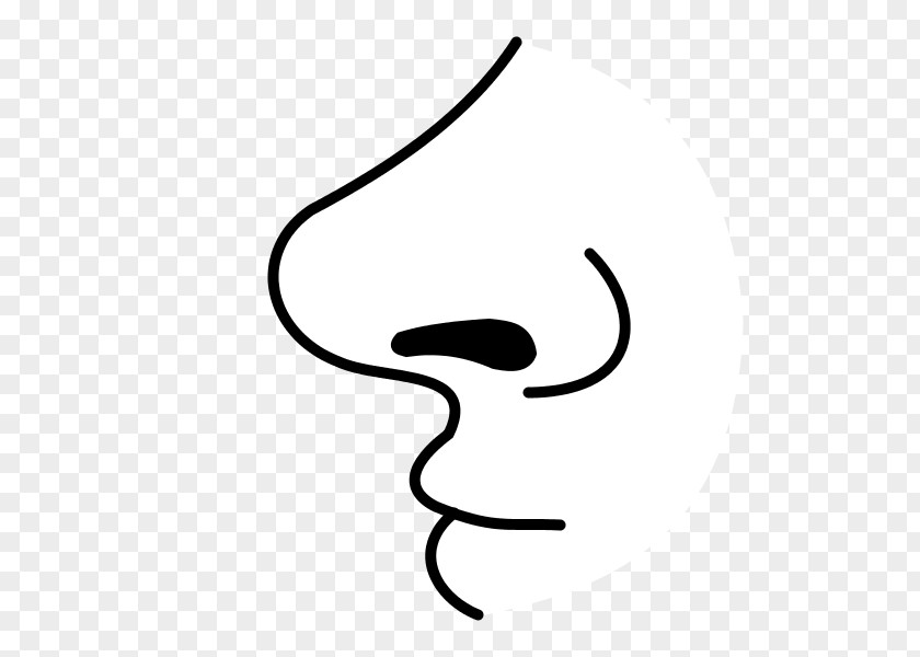 Nose Drawing Olfaction Clip Art PNG