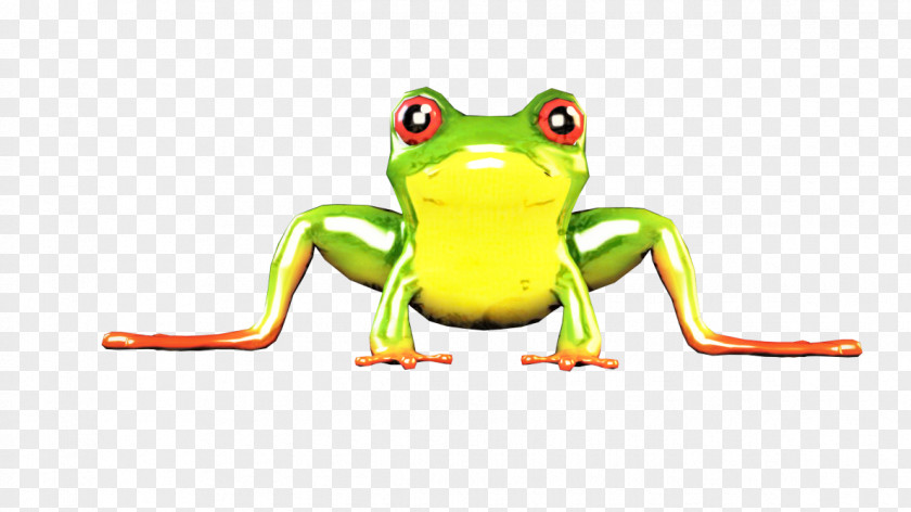 True Frog Tree Toad Product Design PNG