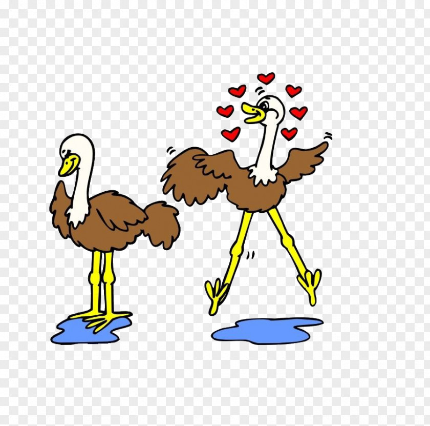 Two In Love Ostrich Common Bird Windows Metafile Clip Art PNG