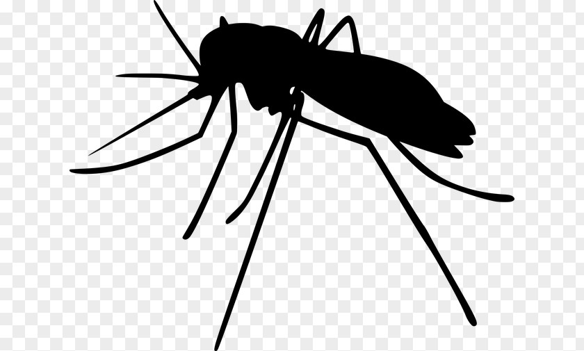 Wing Parasite Mosquito Insect Silhouette Sticker Vector PNG