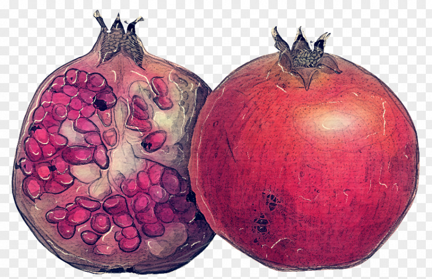 Beetroot Accessory Fruit Onion Cartoon PNG