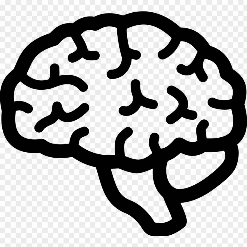 Brain Human Damage PNG