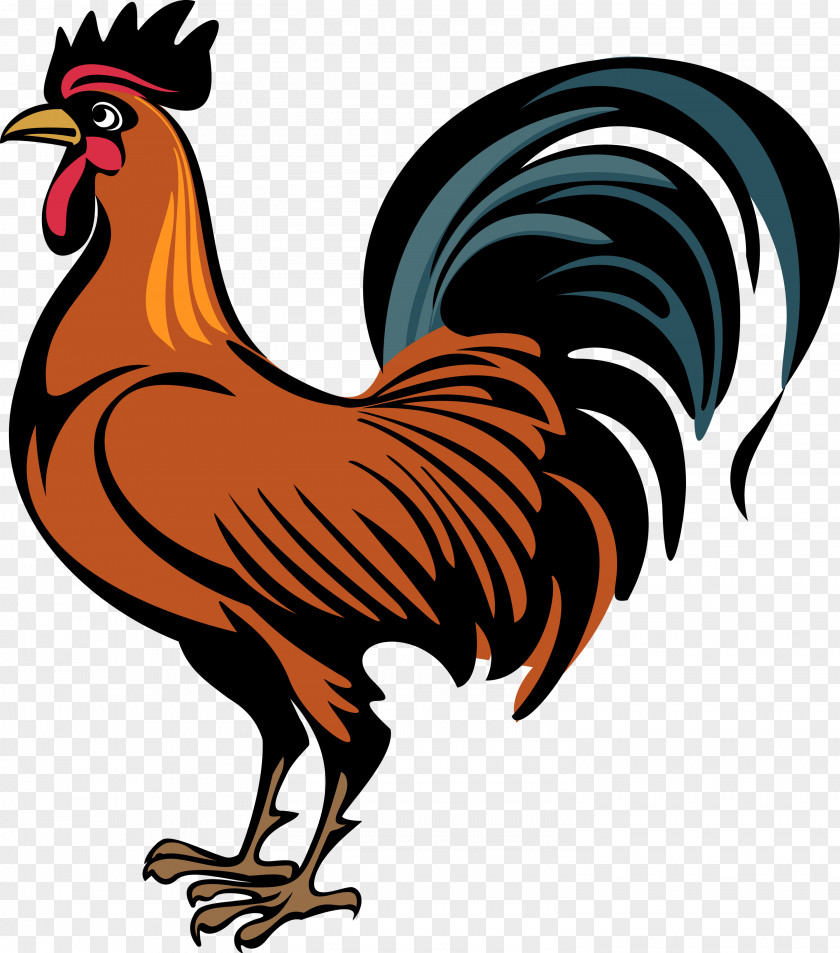 Cock PNG clipart PNG