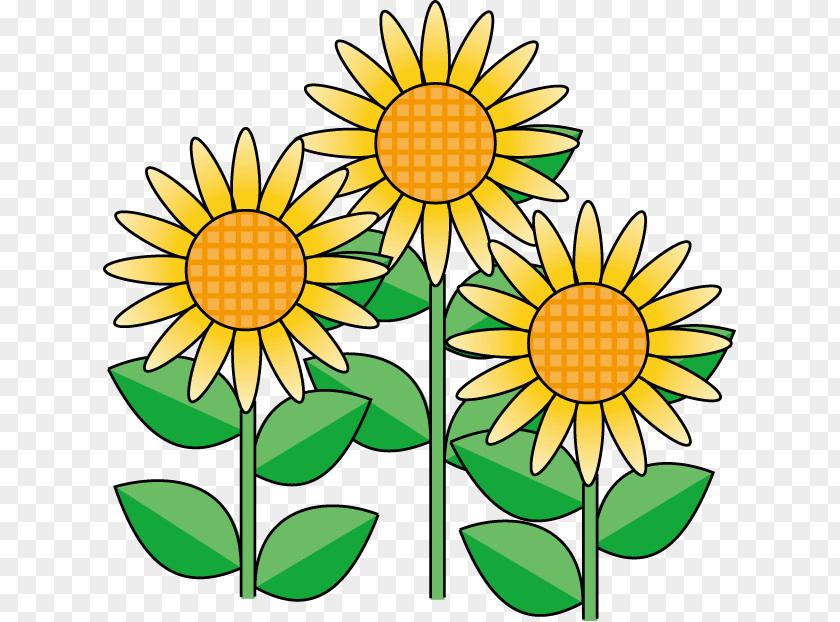 Flower Common Sunflower Cut Flowers Clip Art PNG