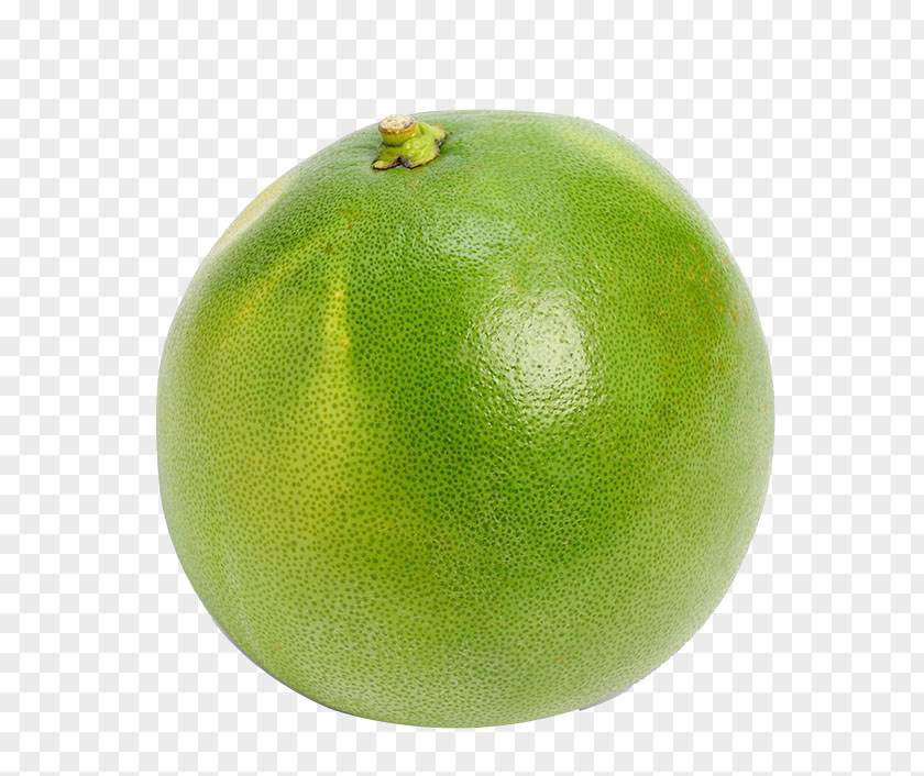Fresh Grapefruit Persian Lime Key Sweet Lemon PNG