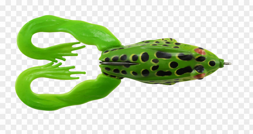 Frog True Legs Tail PNG