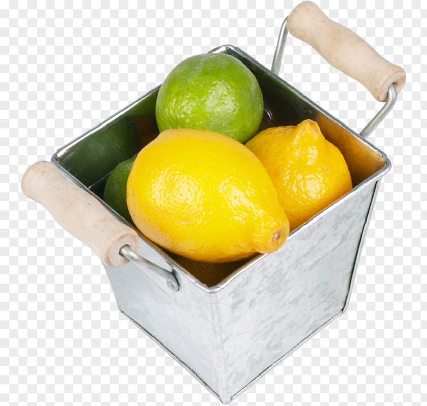 Lemon Lemon-lime Drink Key Lime Orange Green PNG