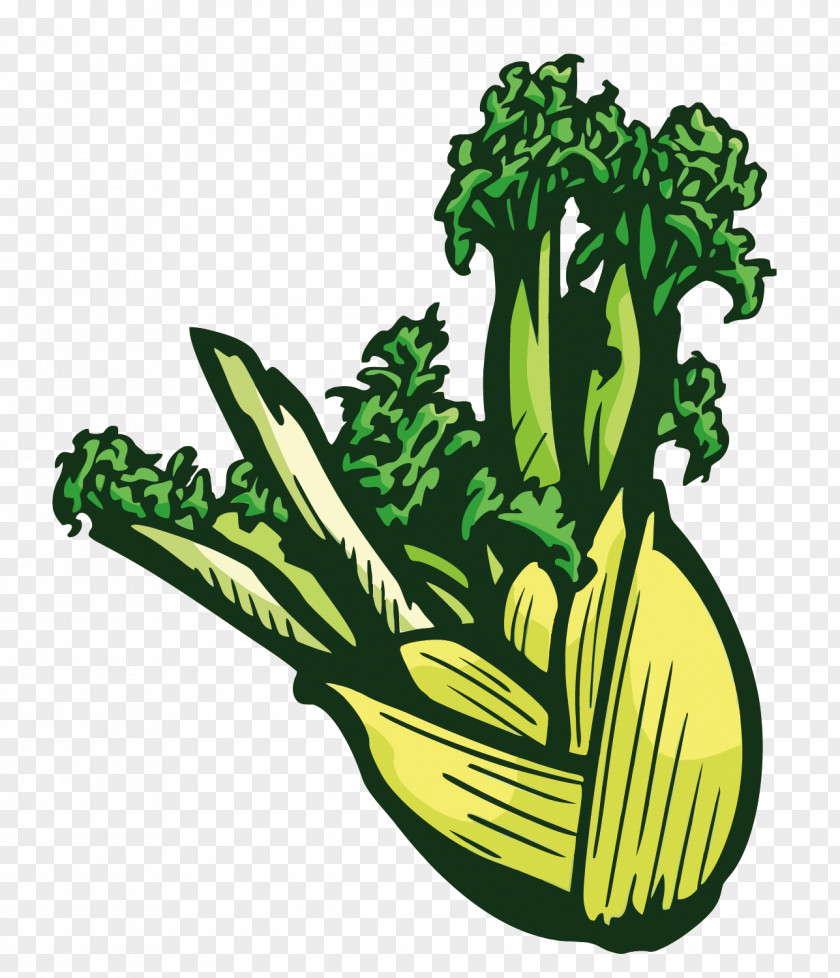 Vector Vegetables Cartoon Farmers' Market PNG