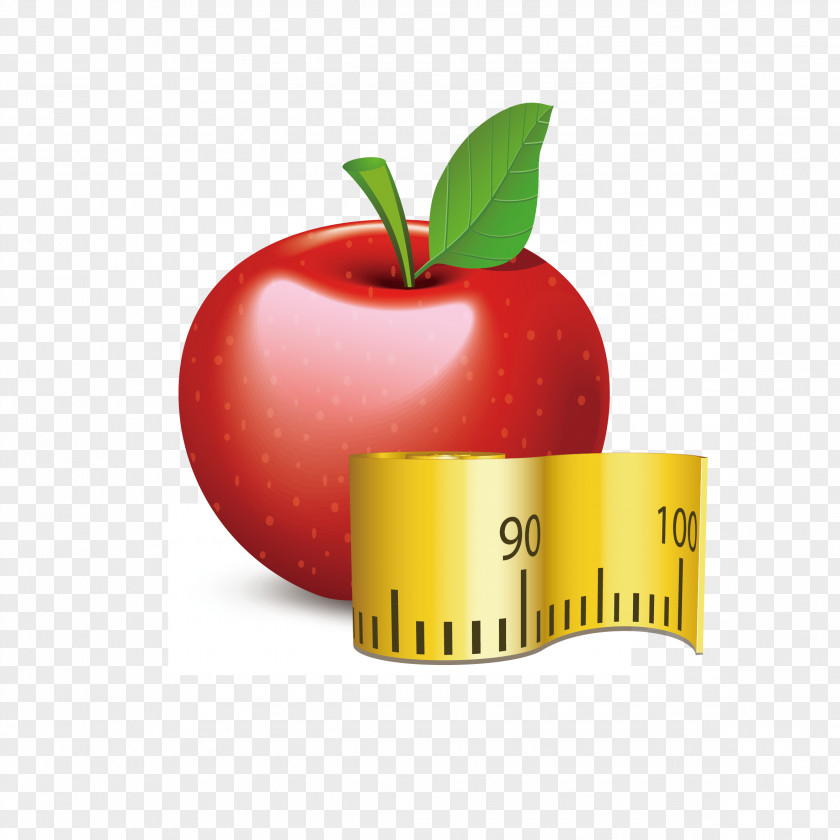 Apple Ruler Vector Sport Icon PNG