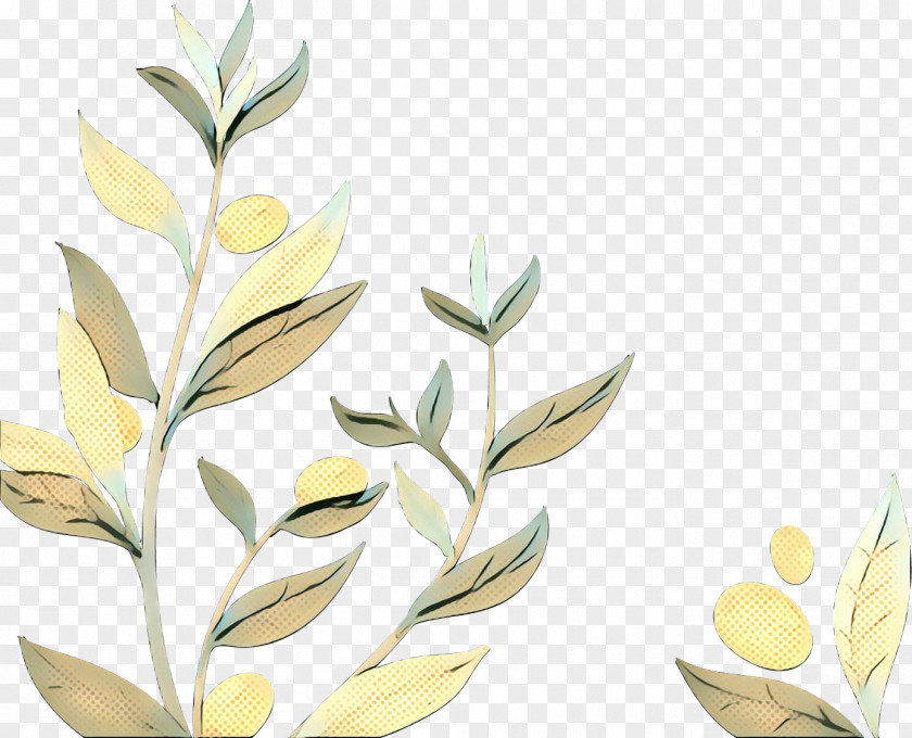 Olive Oil Leaf Image PNG