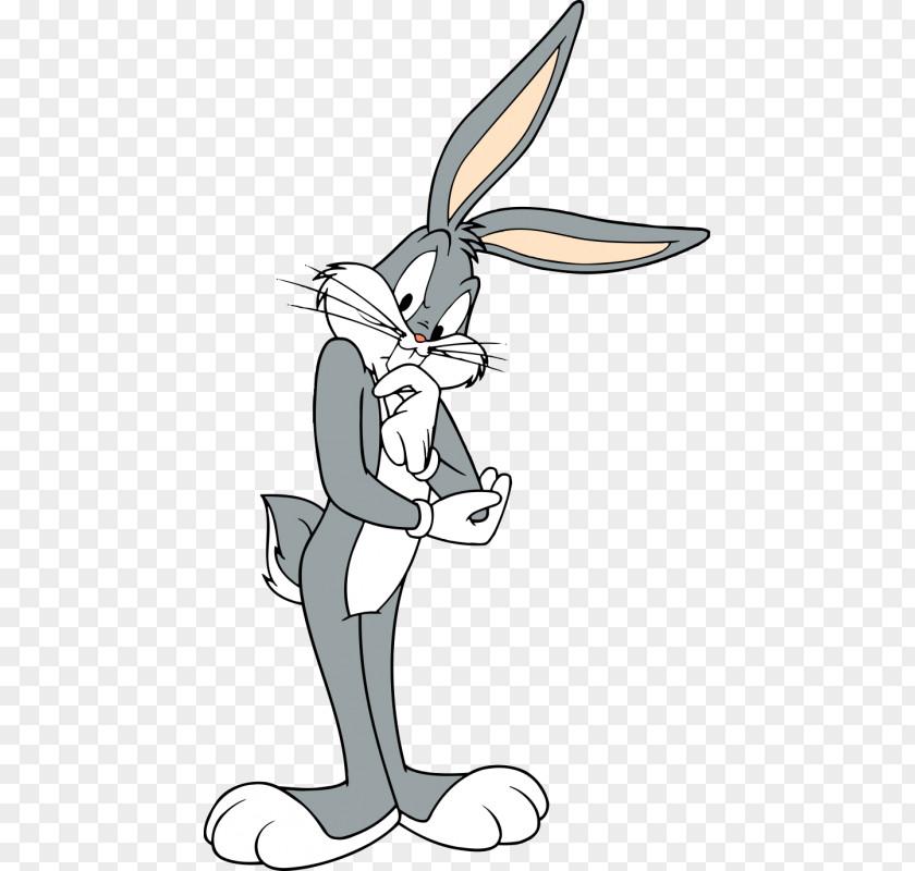 Animation Bugs Bunny Daffy Duck Porky Pig Elmer Fudd Looney Tunes PNG