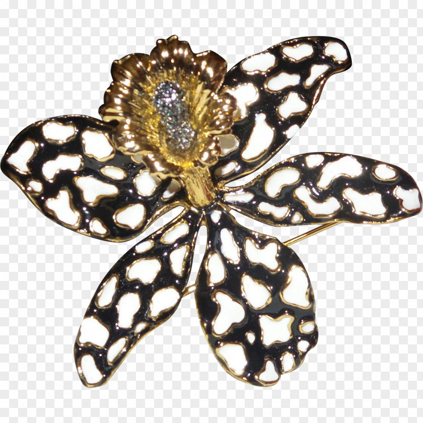Brooch Insect Butterfly Jewellery Pollinator PNG